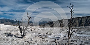 Mammoth Hotspring