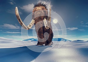 Mammoth in the mountains