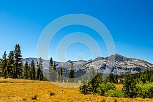 Mammoth Peak