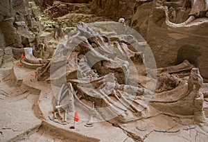 Mammoth Site