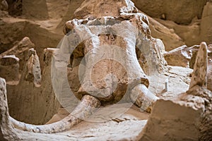 Mammoth Site