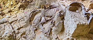 Mammoth Site photo