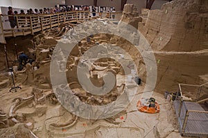 Mammoth Site Of Hot Springs, South Dakota.