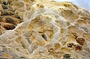 Mammoth Springs, Yellowstone National Park