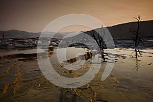 Mammoth terrace at sunrise in Yellowstone