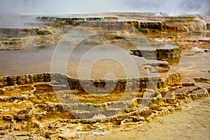 Mammoth Terraces, Yellowstone National Park