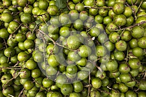 Mamoncillo delicious tropical fruit in market place - Melicoccus bijugatus