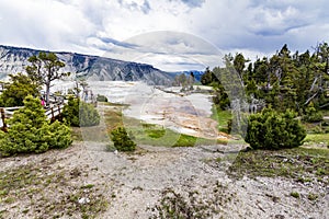 Mamoth hot springs panorama