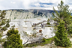 Mamoth hot springs panorama