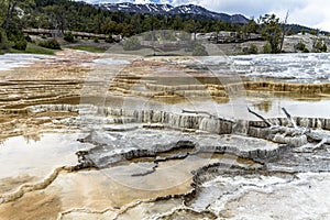 Mamoth hot springs in Yellowstone photo