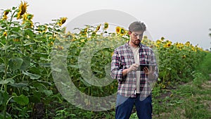 Man agronomist farmer with a digital tablet computer standing in sunflower field using apps, internet for smart farming