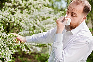 Man allergic suffering from seasonal allergy at spring, sneezing and blowing nose with handkerchief.