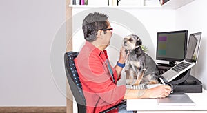 Man allows his accompanying dog to work on the computer with his graphic tablet