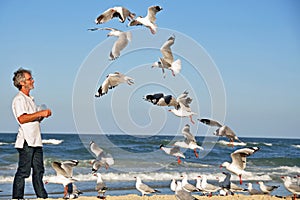 A Man alone on the beach feeding seagulls by hand.