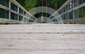 Man alone on bridge near pine forest