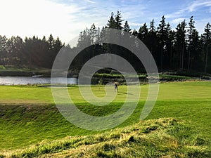A man alone on a putting green playing golf surrounded by beautiful scenery outside of Victoria, British Columbia, Canada.