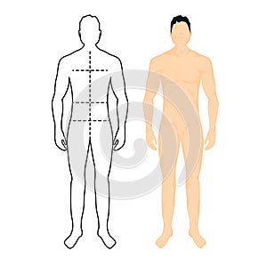 Man anatomy silhouette size. Human body full measure male figure waist, chest chart template