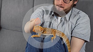 Man with animal bearded agama sitting on sofa at home and stroking reptile.