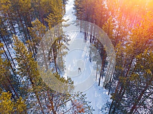 Man athlete trains cross-country skiing in winter on snow covered track in forest