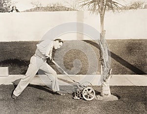 Man attacking palm tree with lawn mower