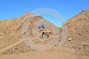 The man of average years is lucky a wheelbarrow with soil on roa