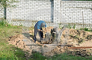 Man with an ax uproots a tree stump