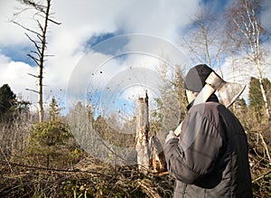 Man with an axe looks at the tumbled down wood