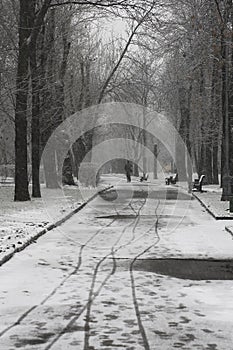 Man from back walking away on a pathway of a park road covered in snow with benches and bare trees around.