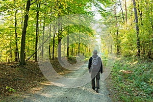 A man with a backpack going through the forest