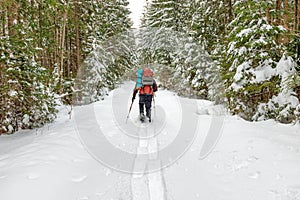 Man with backpack going to winter forest