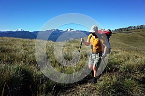 Man with backpack solo hiking on grassy highland mountain landscape in Puyehue National Park, Los Lagos Region