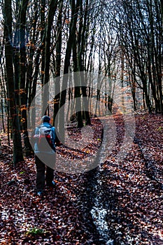 Man with backpack walking over autumn leaves