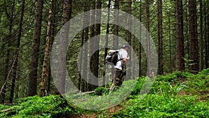 man backpacker passing by summer forest in mountains