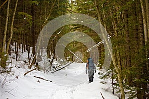 Man is backpacking in winter forest