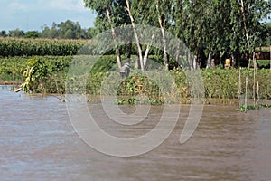 Man on bank of Mekong River