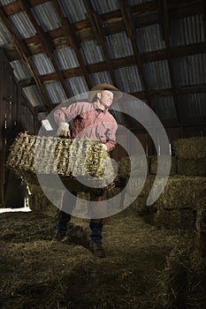 Man in Barn Moving Bales of Hay