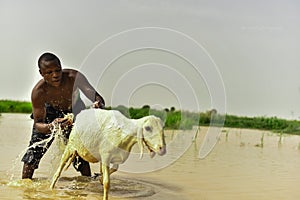Man bath for is ram in a river