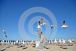 Man on beach surprized by flock of seagulls