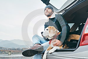 Man with beagle dog siting together in car trunk photo