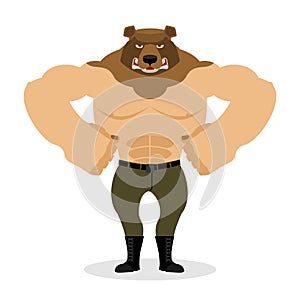 Man Bear. Strong powerful wild evil animal with big muscles. photo