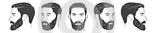 Man with beard. Barbershop trimming bearded hipster hairstyle. Stylish haircut. Set of man face portrait different angle