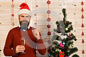 Man with beard and bow tie holds glass of champagne.