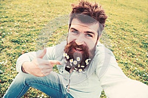 Man with beard enjoys spring, green meadow background. Guy with daisy or chamomile flowers in beard taking selfie photo