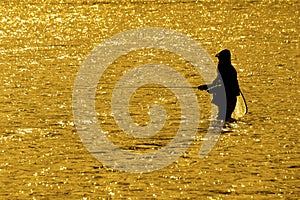 Man with Beard Flyfishing Fly Fishing in River Silhouette with Sunlight