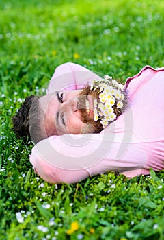 Man with beard on happy face enjoy nature. Unite with nature concept. Hipster with bouquet of daisies in beard relaxing