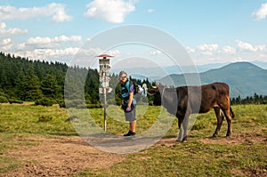 A man with a beard and long hair, a cyclist, a backpack with a helmet on his back near cow