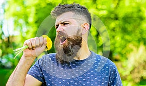 Man with beard and mustache on happy face holds bouquet of dandelions as microphone. Hipster made bouquet, green nature