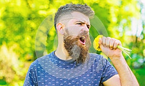 Man with beard and mustache on happy face holds bouquet of dandelions as microphone. Hipster made bouquet, green nature
