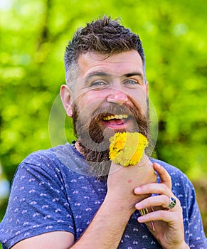 Man with beard and mustache on happy face holds bouquet of dandelions as microphone. Hipster made bouquet, green nature