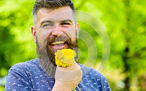 Man with beard and mustache on happy face holds bouquet of dandelions. Romantic hipster made bouquet, green nature